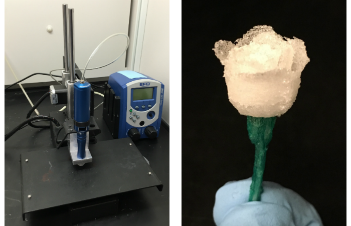 Setup previously used by the PI to 3D print cellulosic materials (left) and a demonstration part (right)